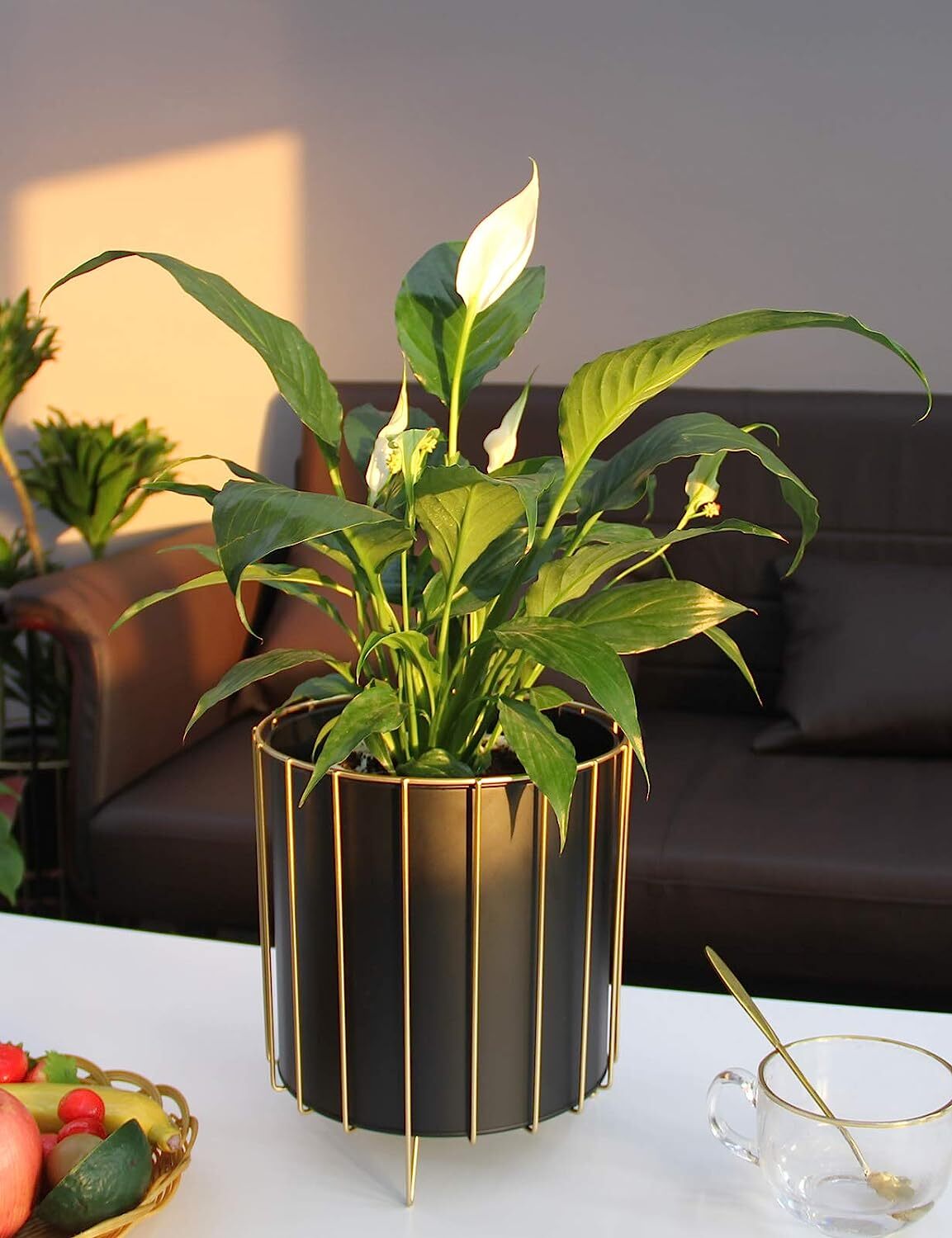 Modern Round Metal Plant Stand Set With Gold Frame - 3 Sizes