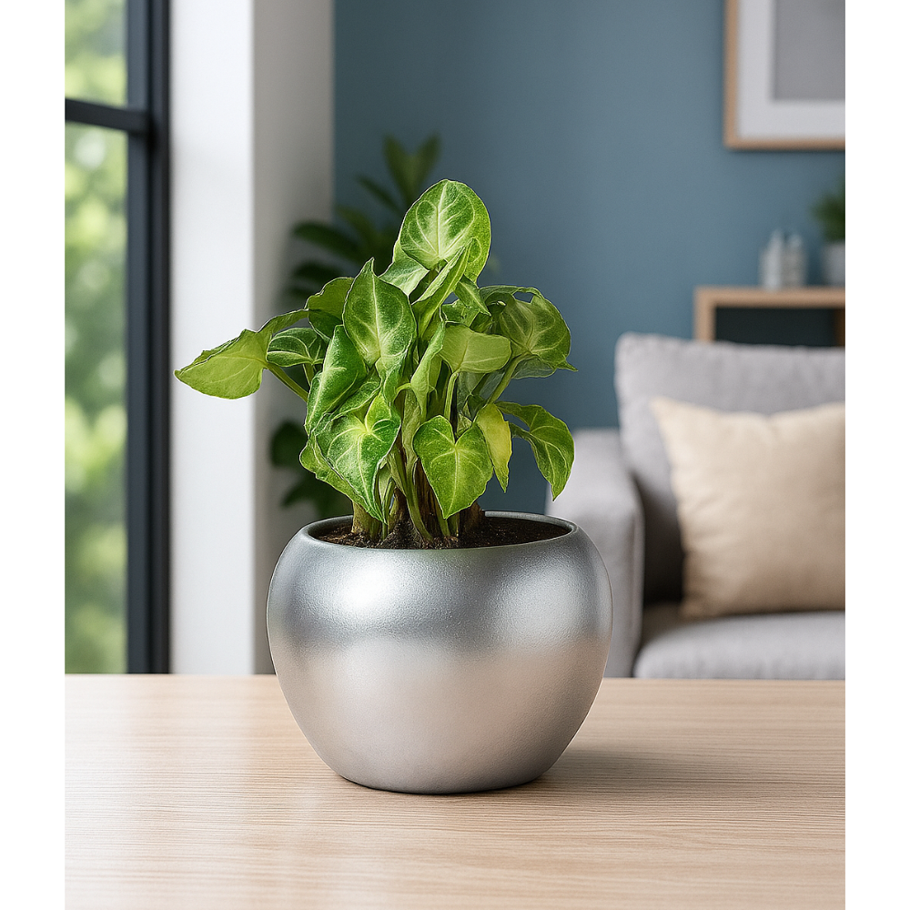Glossy Ceramic Apple Planter with Indoor Plant – Elegant Table Decor