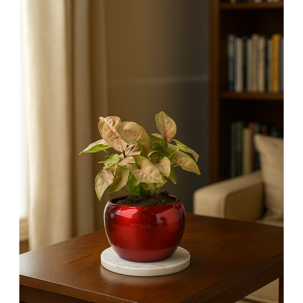 Glossy Ceramic Apple Planter with Indoor Plant – Elegant Table Decor
