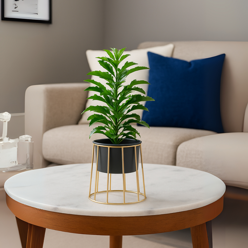 Modern Black Planter with Golden Metal Stand – Stylish Indoor Decor Pot