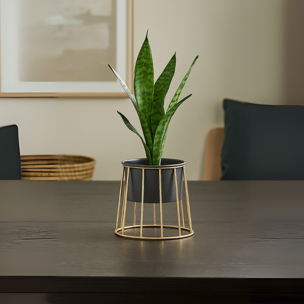 Modern Black Planter with Golden Metal Stand – Stylish Indoor Decor Pot