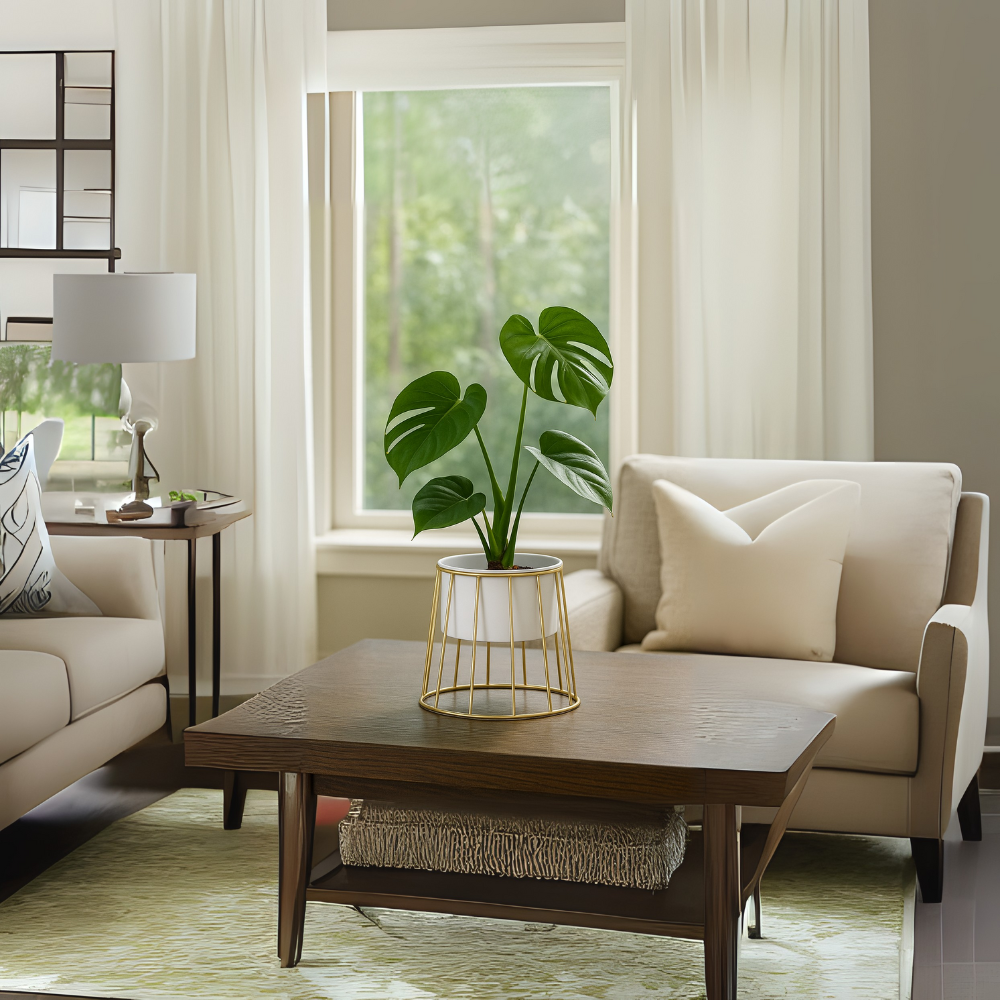 Modern Black Planter with Golden Metal Stand – Stylish Indoor Decor Pot