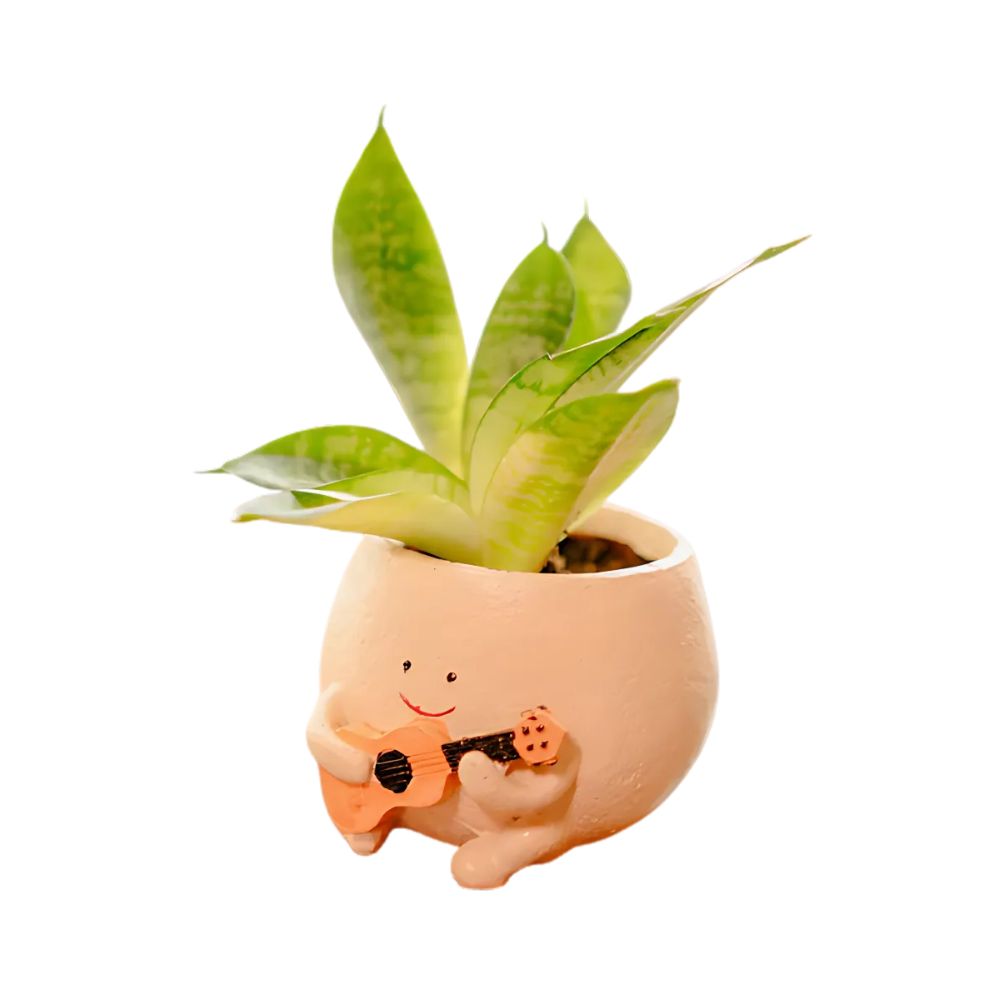 Charming Jazzy Guitar Planter For Indoor Plants and Desk Decor