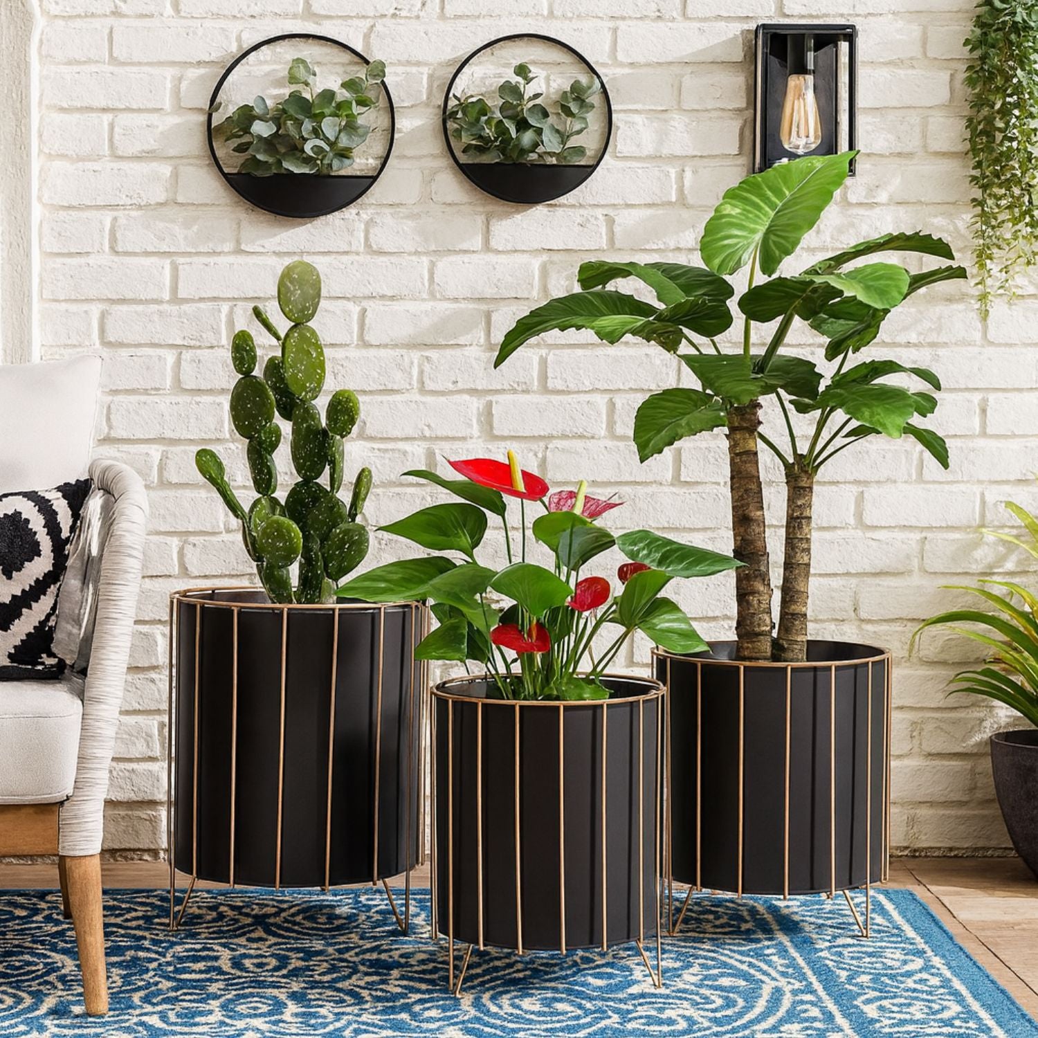 Modern Round Metal Plant Stand Set With Gold Frame - 3 Sizes