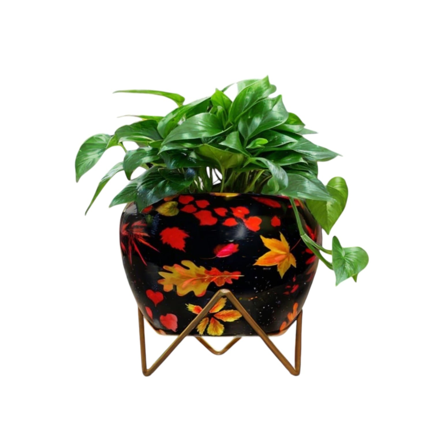Vibrant 5" Orchid Pot - Yellow Leaf Print Design with Stand - Nestern