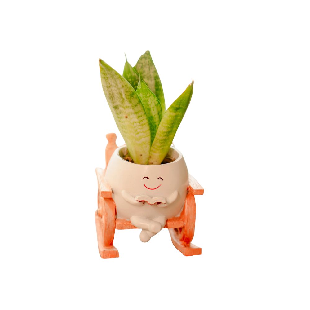 Whimsical Seat of Stories Planter With Cart Design For Home Decor