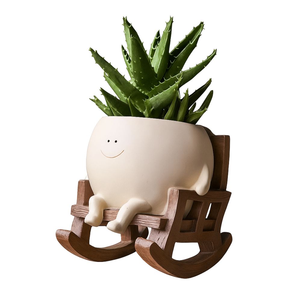 Adorable Swing Planter With Smiley Pot on Wooden Chair