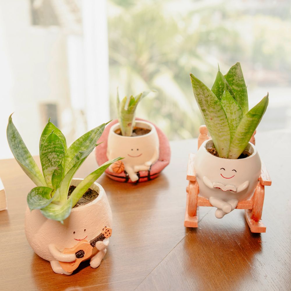 The Joyful Swing Set Planter Trio - Music, Reading & Play