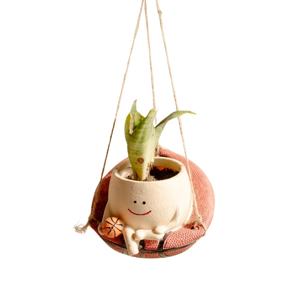 Bouncy Bloom Hanging Basket Planter With Cute Basketball Design