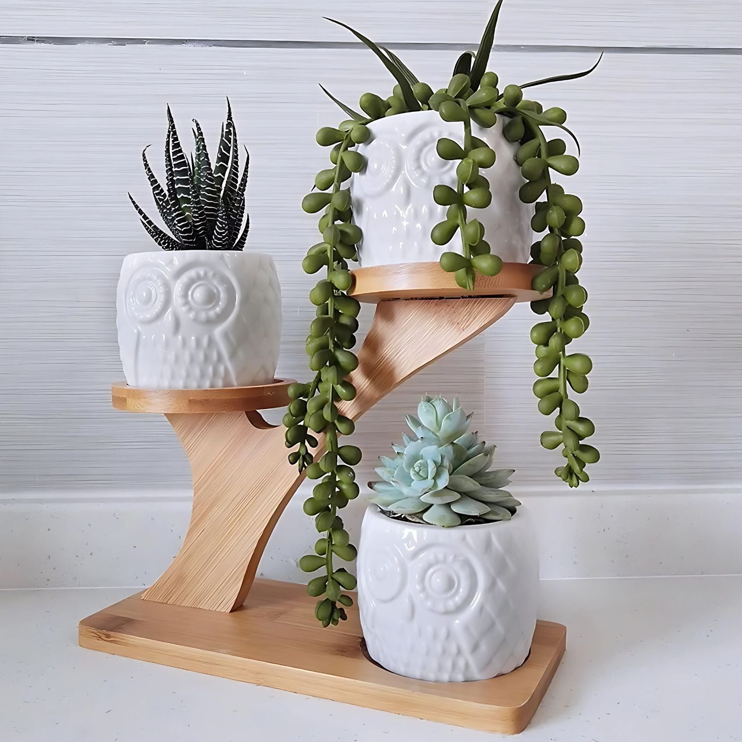 Elegant Multi-Tier Bamboo Plant Stand With 3 Ceramic Owl Planters
