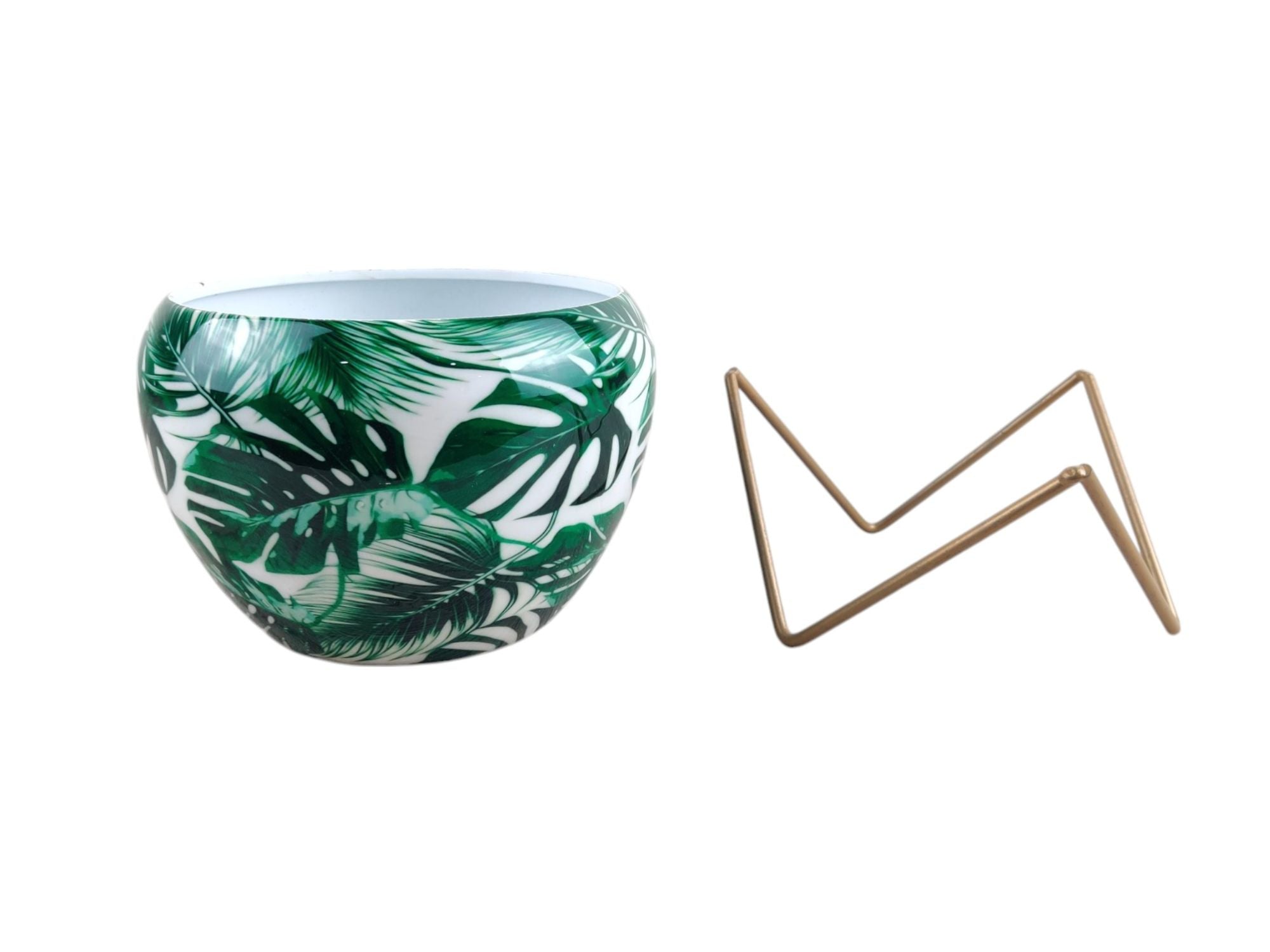 Premium 5" Orchid Pot Collection - Elegant Designs with Stand - Nestern