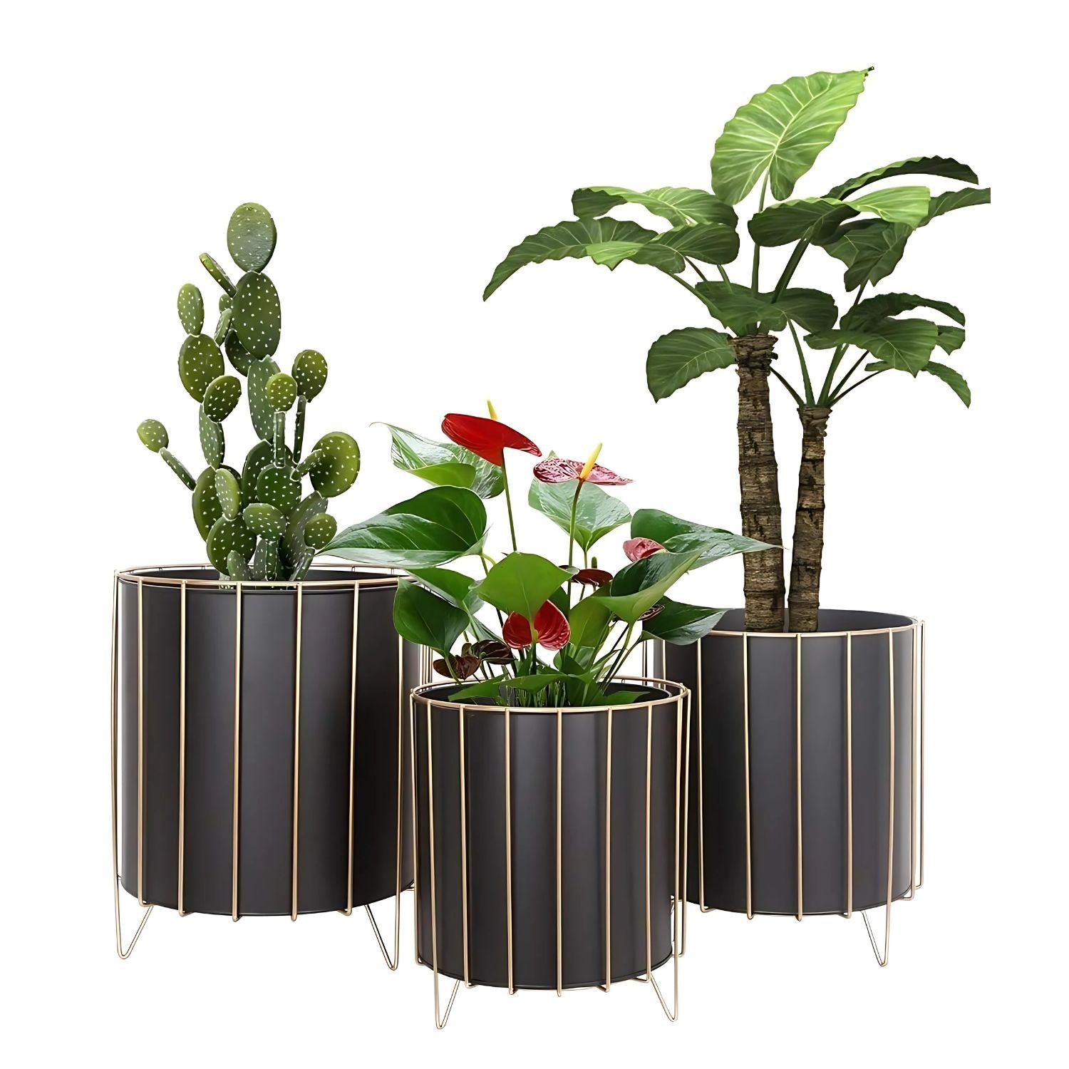 Modern Round Metal Plant Stand Set With Gold Frame - 3 Sizes