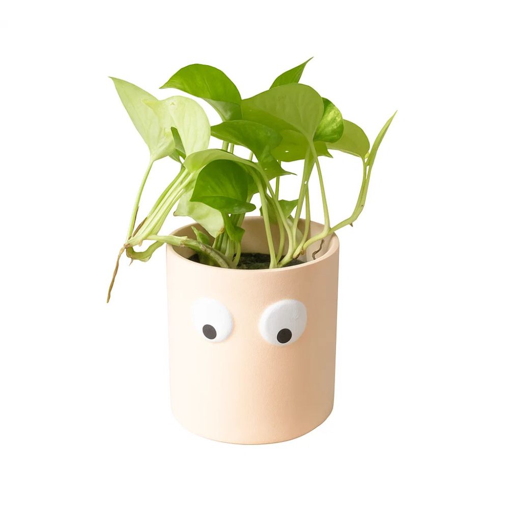 Face of Green Ceramic Planter With Playful Eye Design