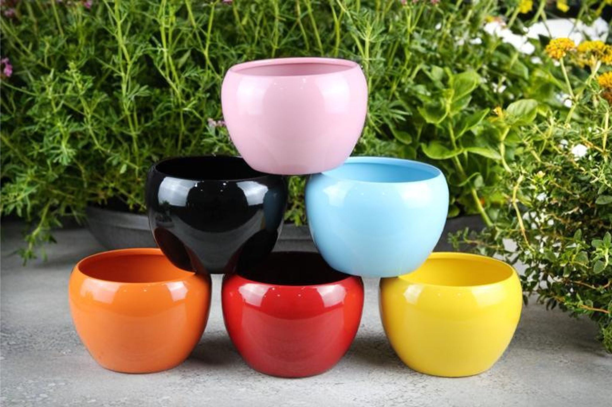 Beautiful 5" Multicolor Orchid Pots - Set of 6 - Nestern