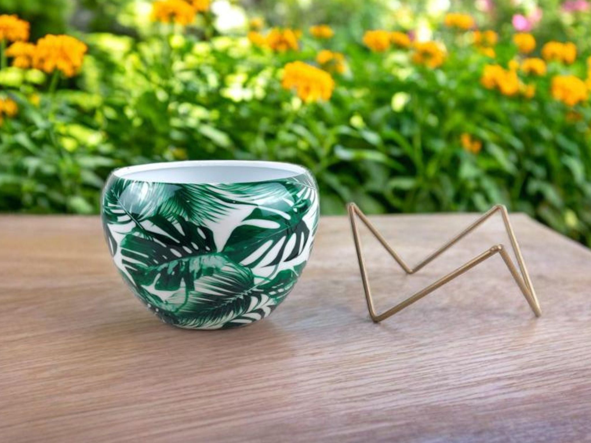 Premium 5" Orchid Pot Collection - Elegant Designs with Stand - Nestern