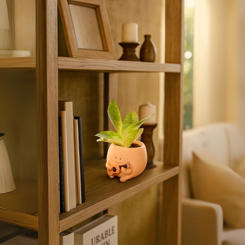 Charming Jazzy Guitar Planter For Indoor Plants and Desk Decor