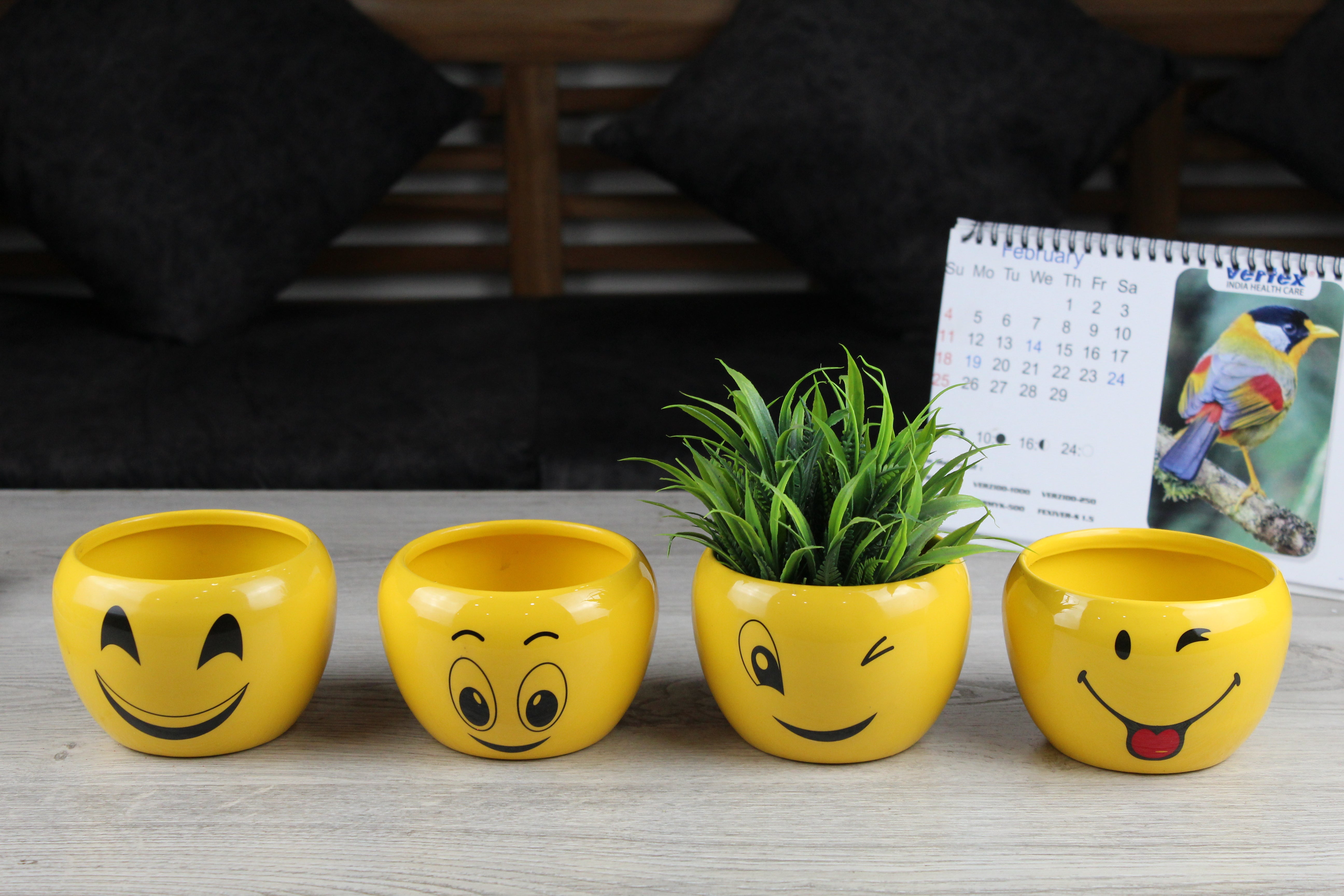 Attractive Orchid Pots with Emoji Print - Pack of 4 - Nestern