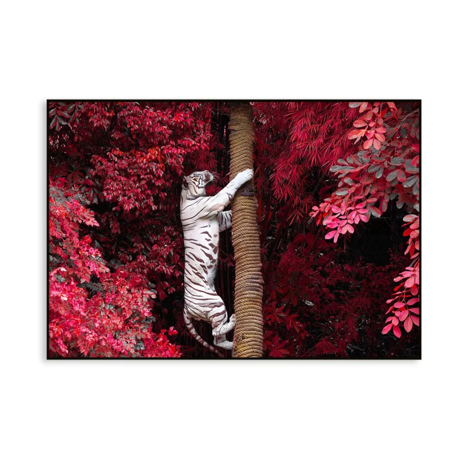 Majestic White Tiger Nature-Inspired Wildlife Painting For Home Decor