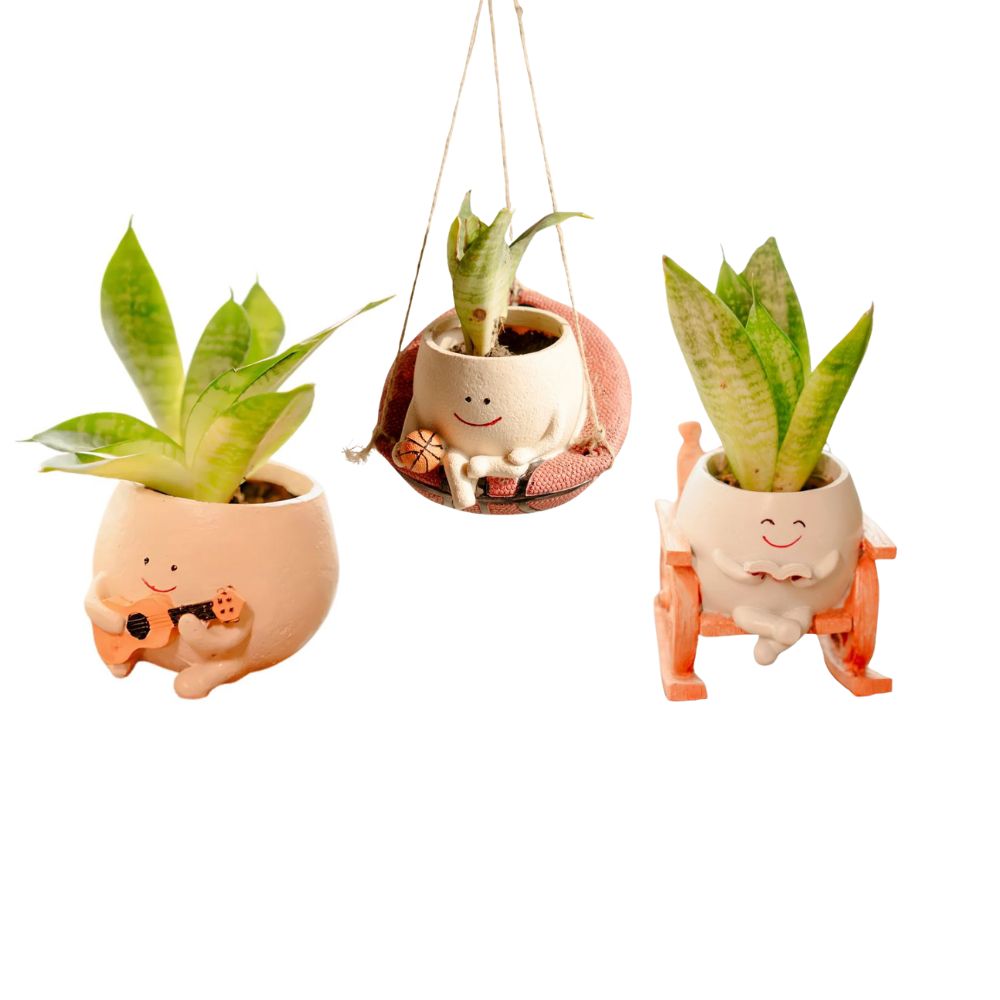 The Joyful Swing Set Planter Trio - Music, Reading & Play