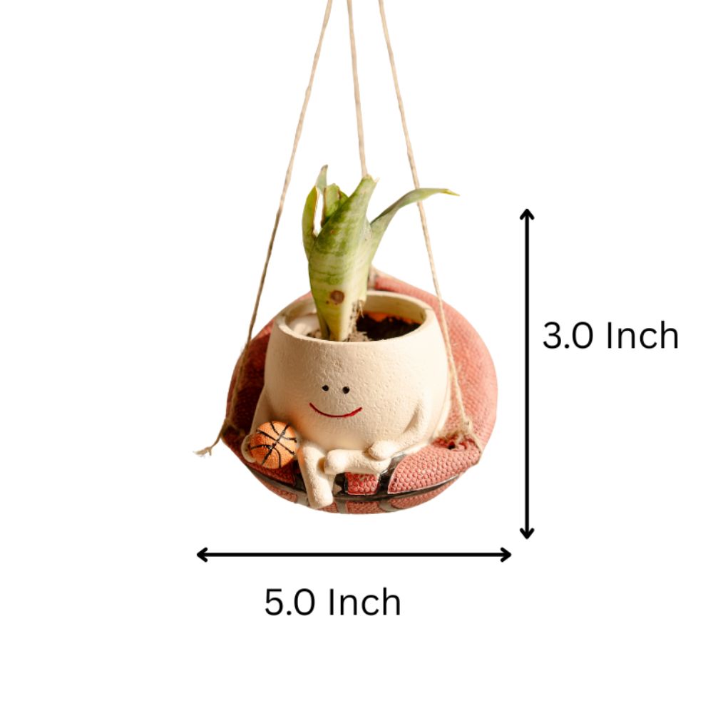 Bouncy Bloom Hanging Basket Planter With Cute Basketball Design