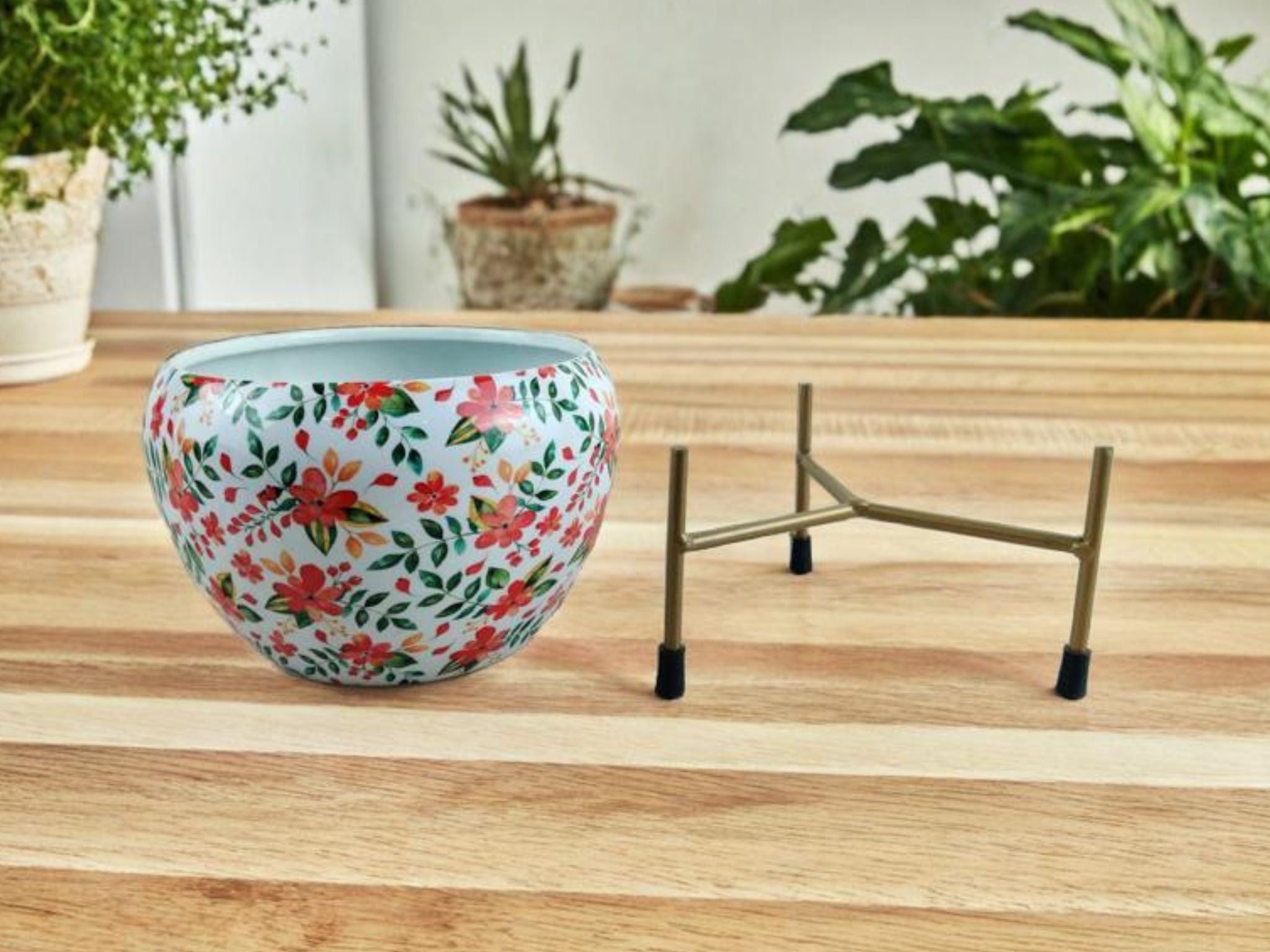 Elegant 5" Orchid Pot - Leaf Print Design with Stand - Nestern