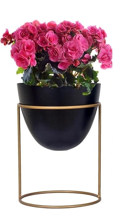Modern Minimalist Metal Plant Stand with Planter