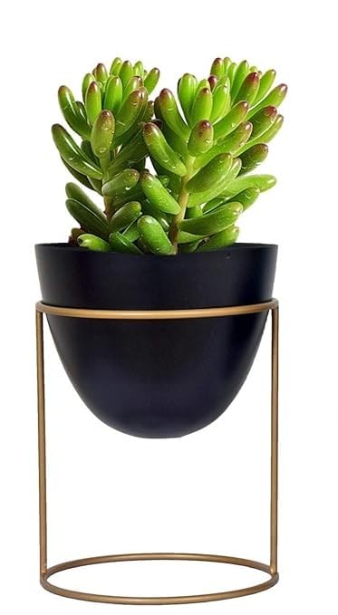 Modern Minimalist Metal Plant Stand with Planter