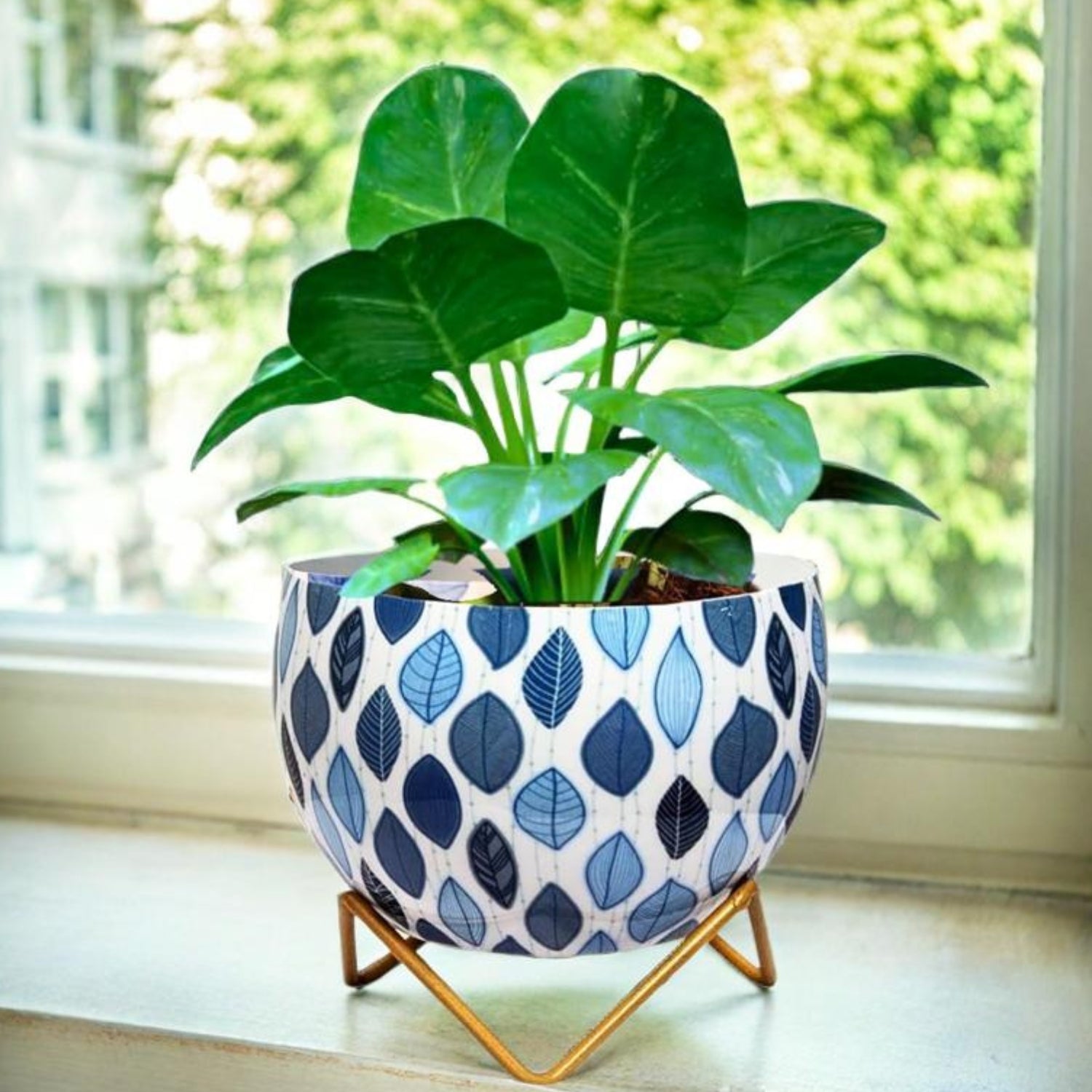 Elegant 5" Orchid Pot - White Enamel Design Print with Stand - Nestern