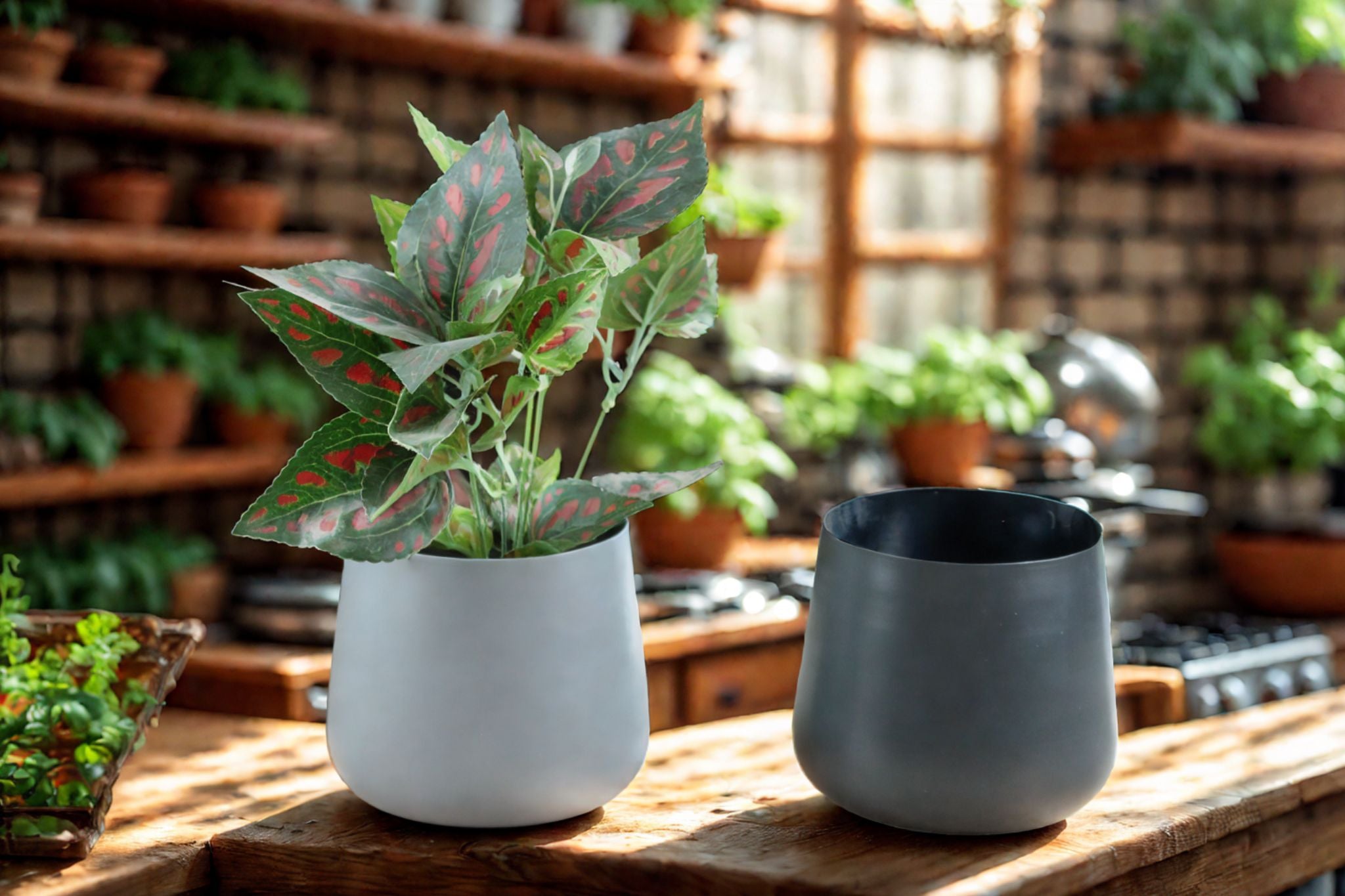 Elegant Taper Tabletop Pots - Black & Grey, Set of 2 - Nestern