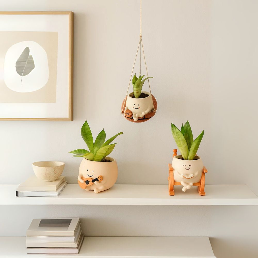 The Joyful Swing Set Planter Trio - Music, Reading & Play