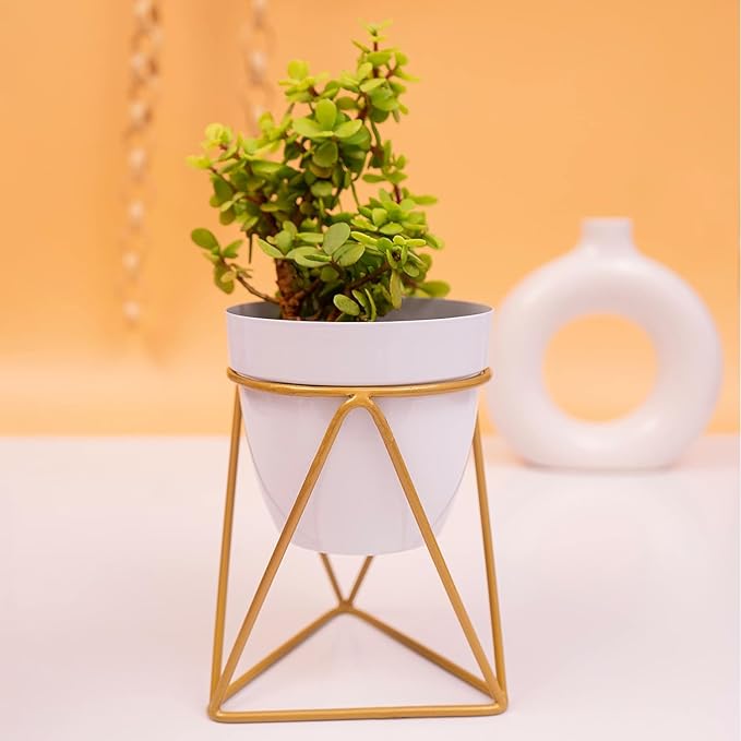 Modern Black & Gold Metal Planter – Stylish Indoor Decor