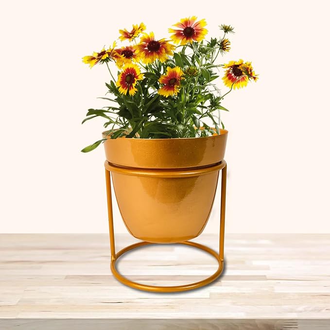 Modern Minimalist Metal Plant Stand with Planter