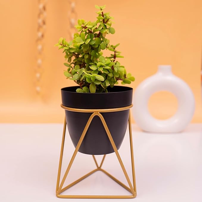 Modern Black & Gold Metal Planter – Stylish Indoor Decor