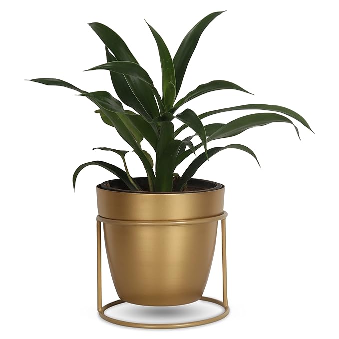 Modern Minimalist Metal Plant Stand with Planter