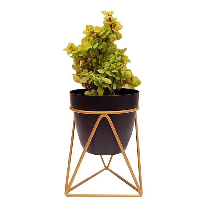 Modern Black & Gold Metal Planter – Stylish Indoor Decor