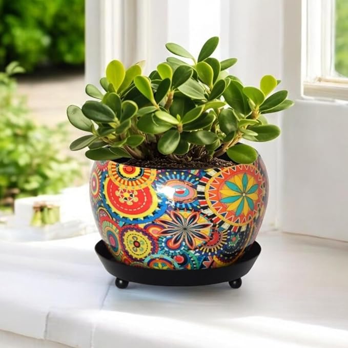 Vibrant Ceramic Planter with Tray – Boho Chic Flower Pot