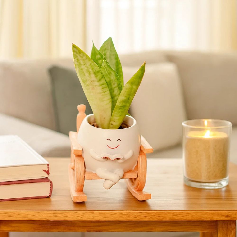 Whimsical Seat of Stories Planter With Cart Design For Home Decor
