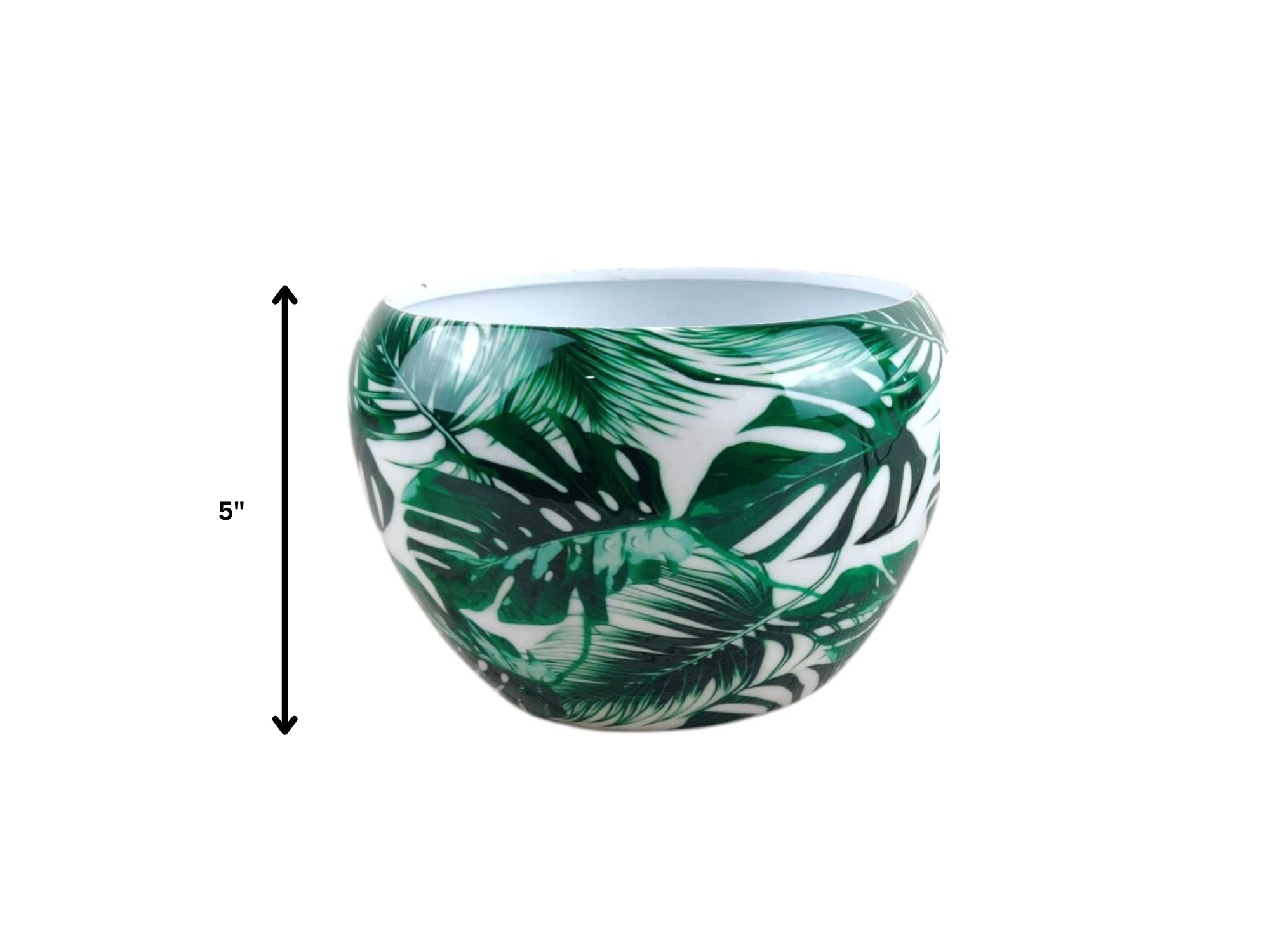 Premium 5" Orchid Pot Collection - Elegant Designs with Stand - Nestern