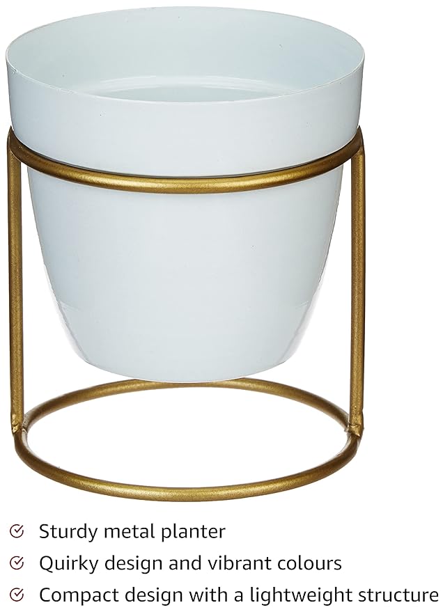 Modern Minimalist Metal Plant Stand with Planter