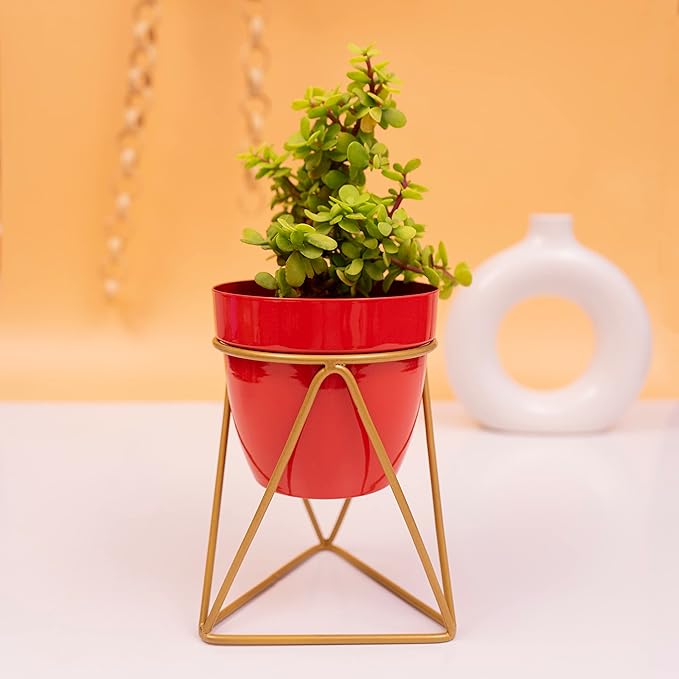 Modern Black & Gold Metal Planter – Stylish Indoor Decor