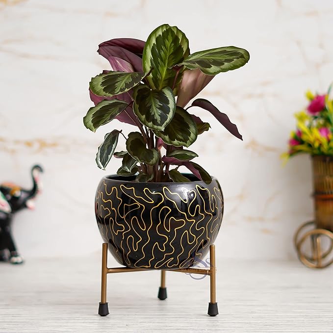 Elegant Black & Gold Decorative Planter with Metal Stand