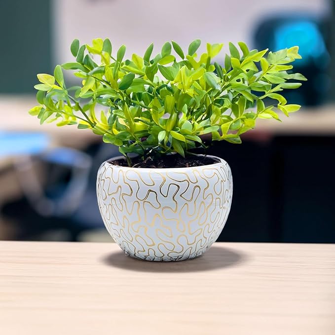 Elegant Black & Gold Decorative Planter with Metal Stand