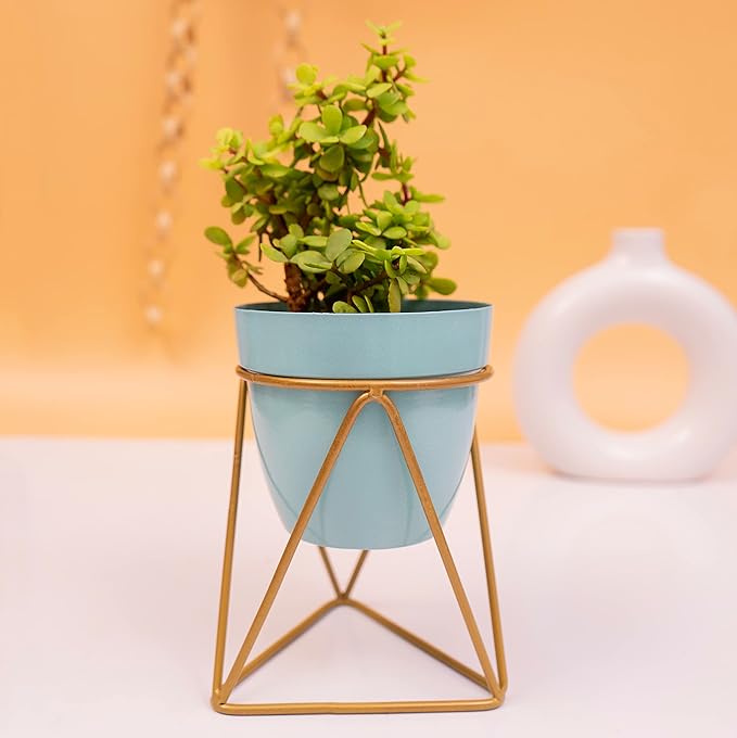 Modern Black & Gold Metal Planter – Stylish Indoor Decor