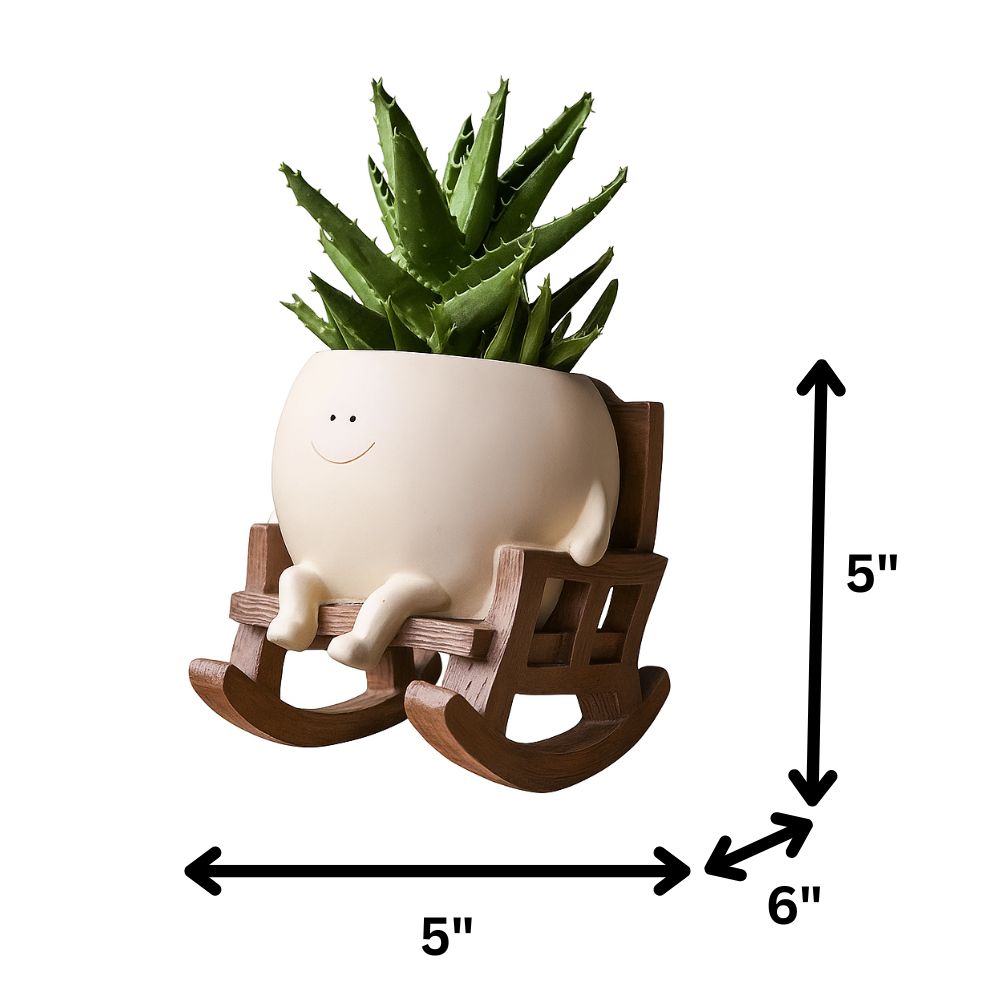 Adorable Swing Planter With Smiley Pot on Wooden Chair