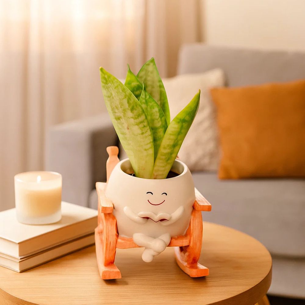 Whimsical Seat of Stories Planter With Cart Design For Home Decor