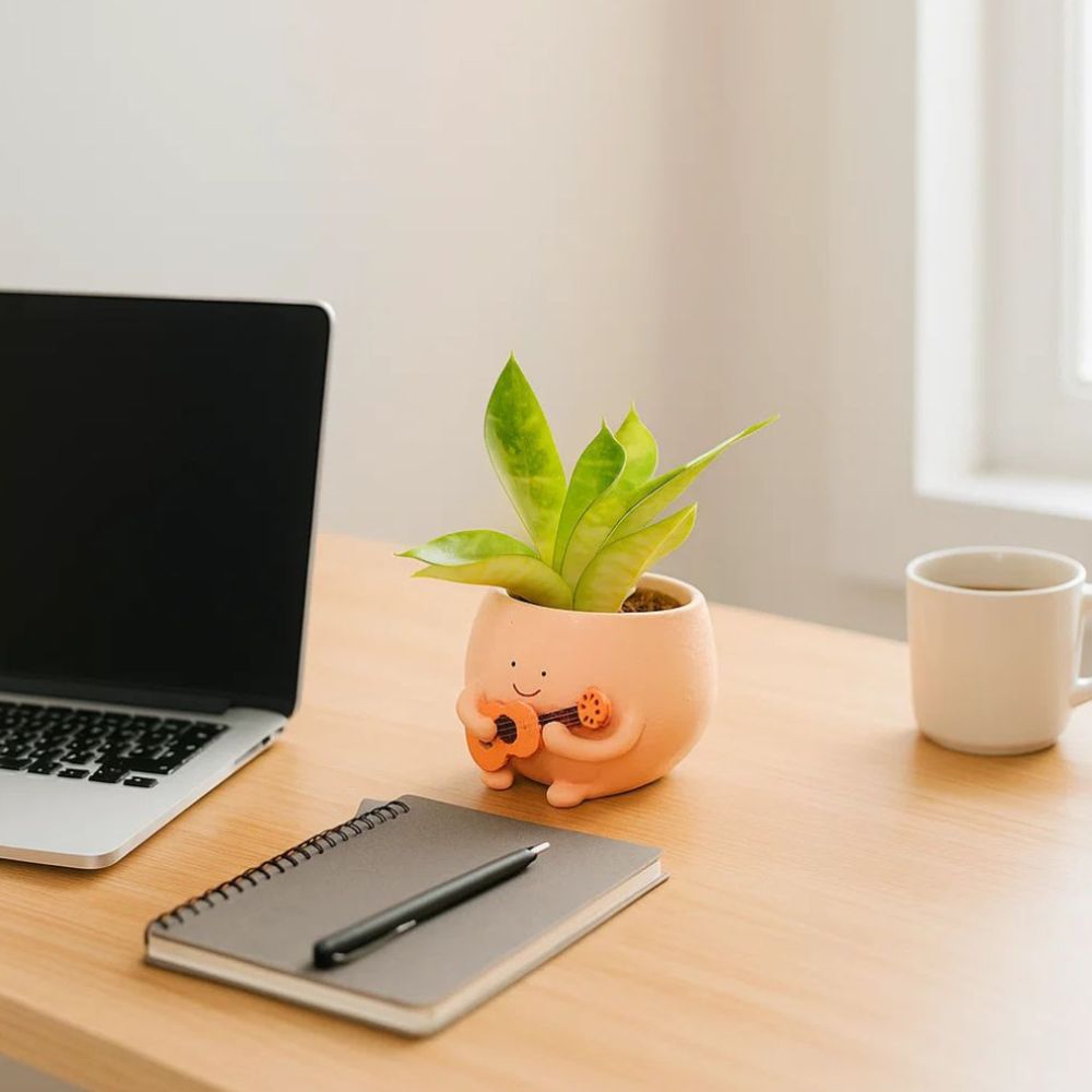 The Joyful Swing Set Planter Trio - Music, Reading & Play