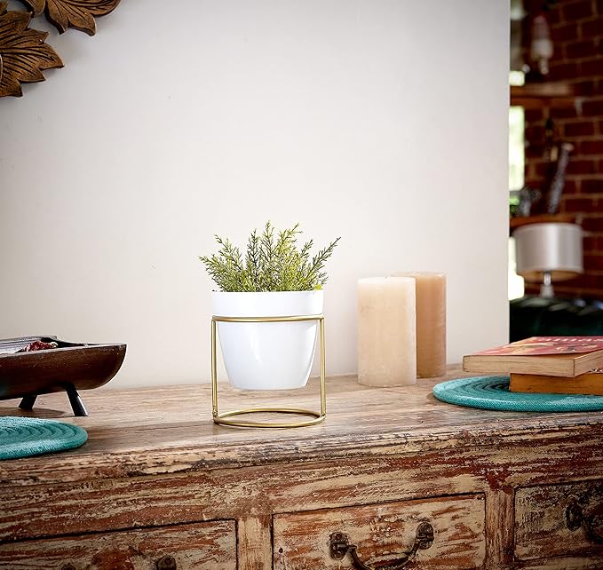 Modern Minimalist Metal Plant Stand with Planter