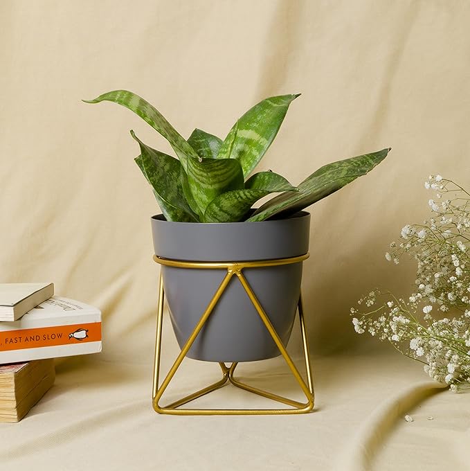 Modern Black & Gold Metal Planter – Stylish Indoor Decor