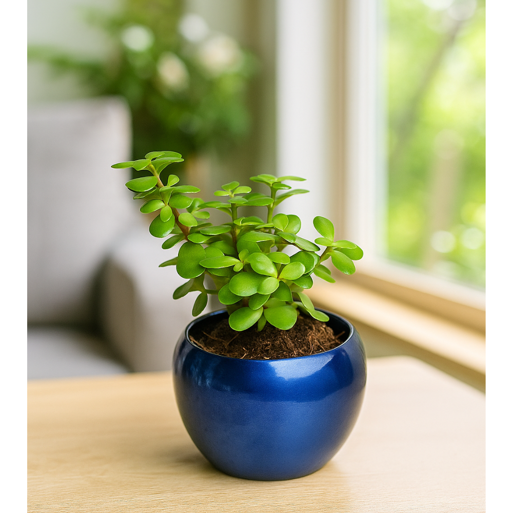 Glossy Ceramic Apple Planter with Indoor Plant – Elegant Table Decor