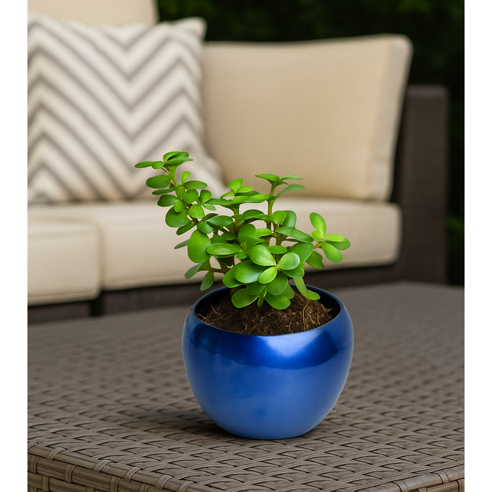 Glossy Ceramic Apple Planter with Indoor Plant – Elegant Table Decor